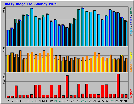 Daily usage for January 2024