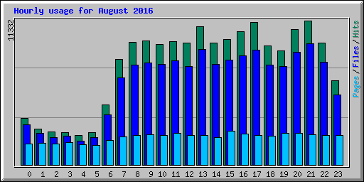 Hourly usage for August 2016