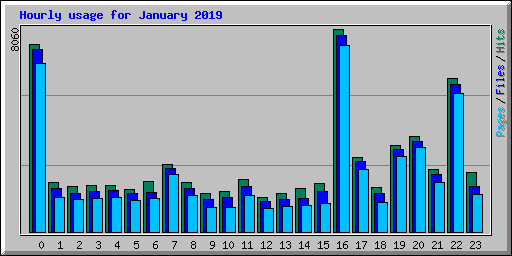 Hourly usage for January 2019