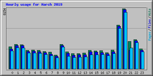 Hourly usage for March 2019