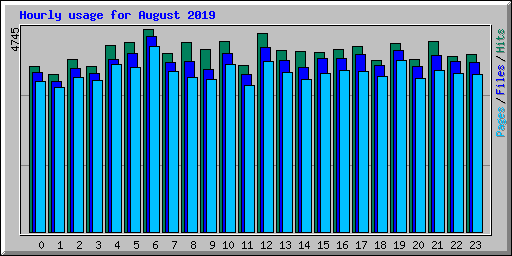 Hourly usage for August 2019