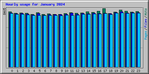 Hourly usage for January 2024