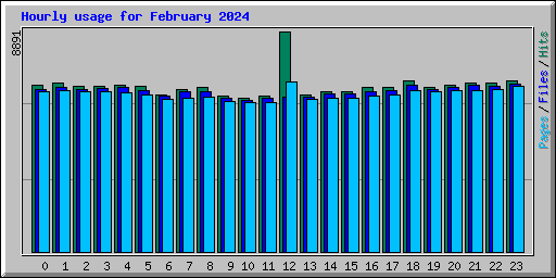 Hourly usage for February 2024