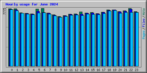 Hourly usage for June 2024